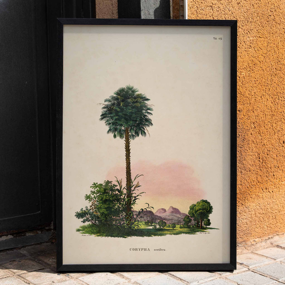 Corypha cerifera Arruda Poster by Moryarty - Oil Painting canvas print