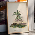 Attalea compta Poster by Moryarty - Oil Painting canvas print
