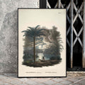 Bactris acanthocarpa Poster by Moryarty - Oil Painting canvas print