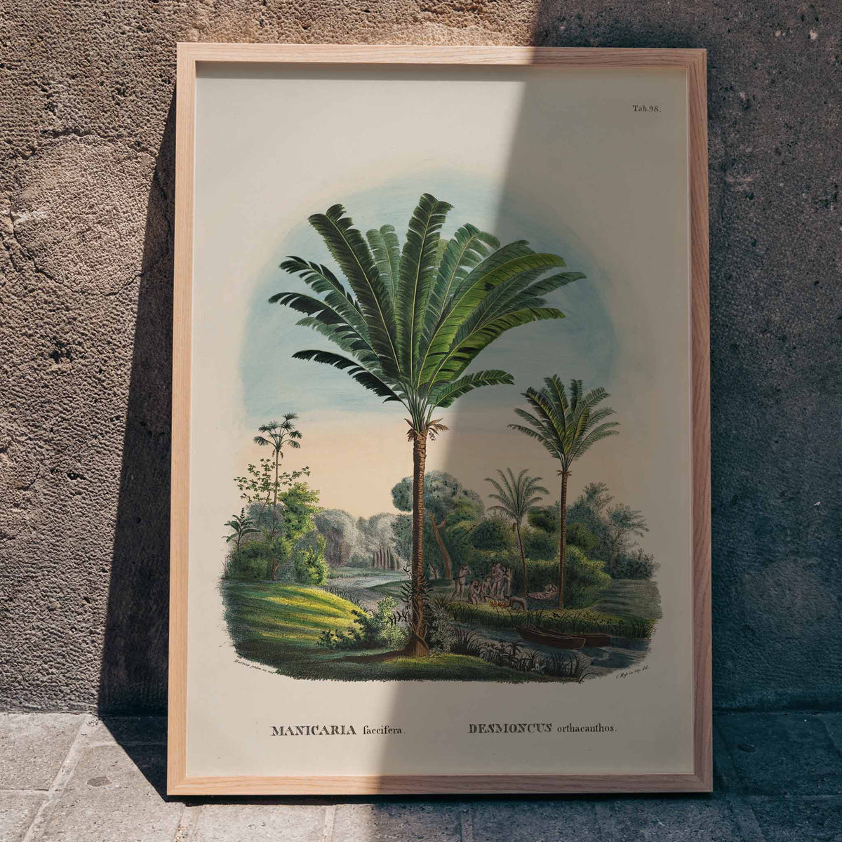 Desmoncus orthacanthos Poster by Moryarty - Oil Painting canvas print