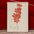 Tritonia crocata Freesia flamme Poster by Moryarty - Oil Painting canvas print