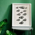 Douze coquillages Poster by Moryarty - Oil Painting canvas print