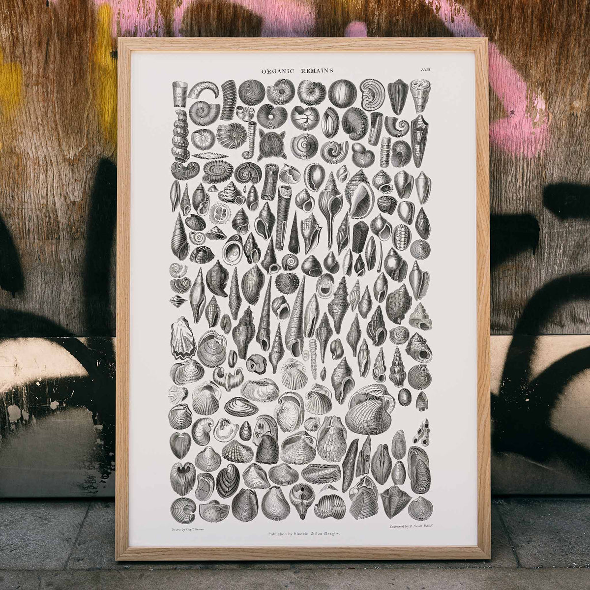 Organic Remains Poster by Moryarty - Oil Painting canvas print