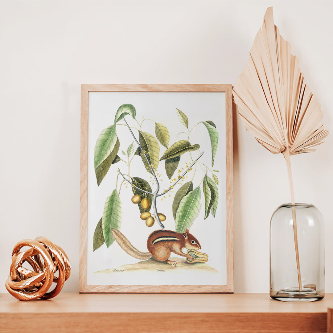 cureuil terrestre Poster by Moryarty - Oil Painting canvas print