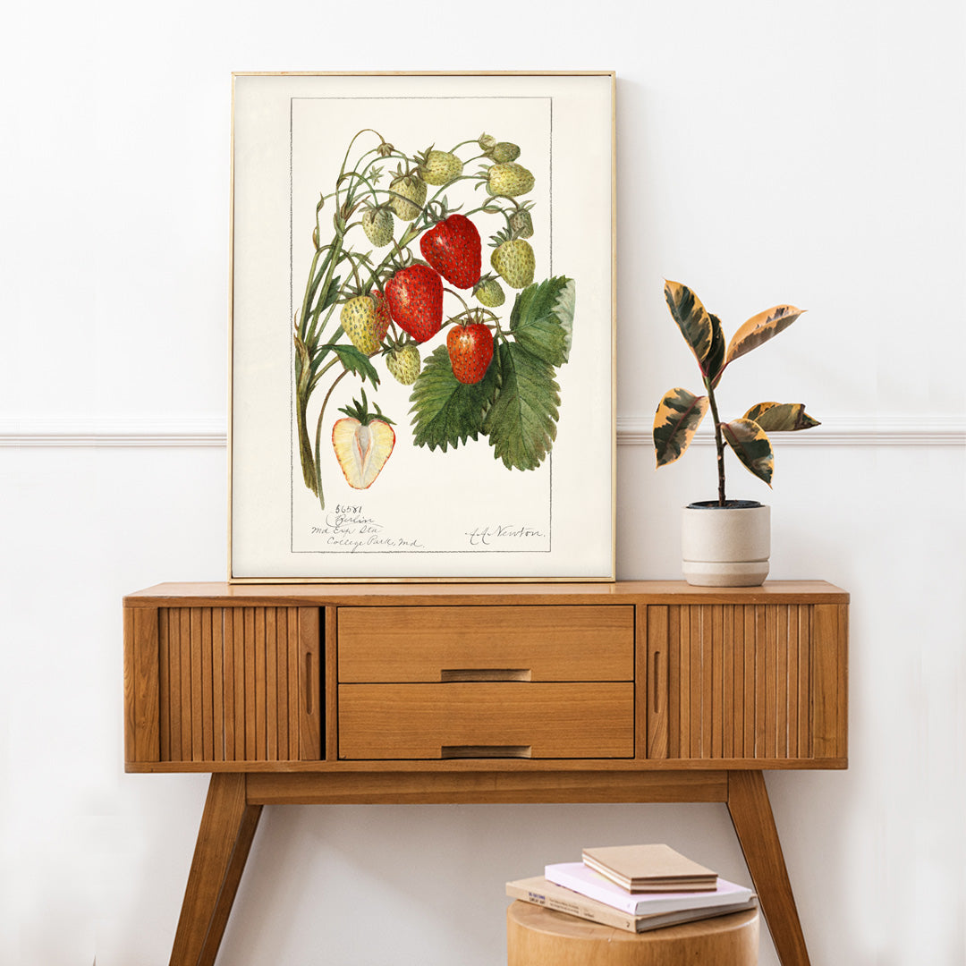 Fraises Fragaria Poster by Moryarty - Oil Painting canvas print