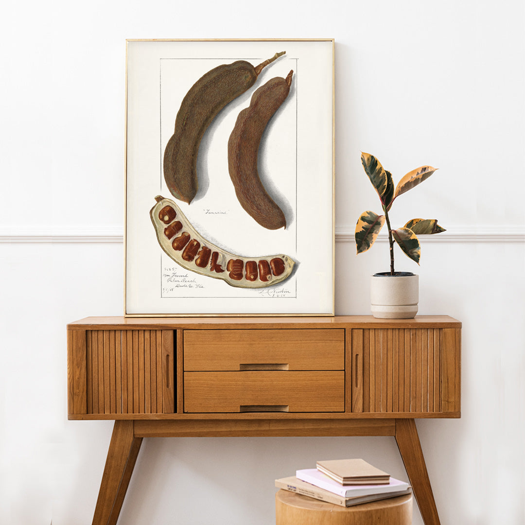 Tamarinier d'Inde Poster by Moryarty - Oil Painting canvas print