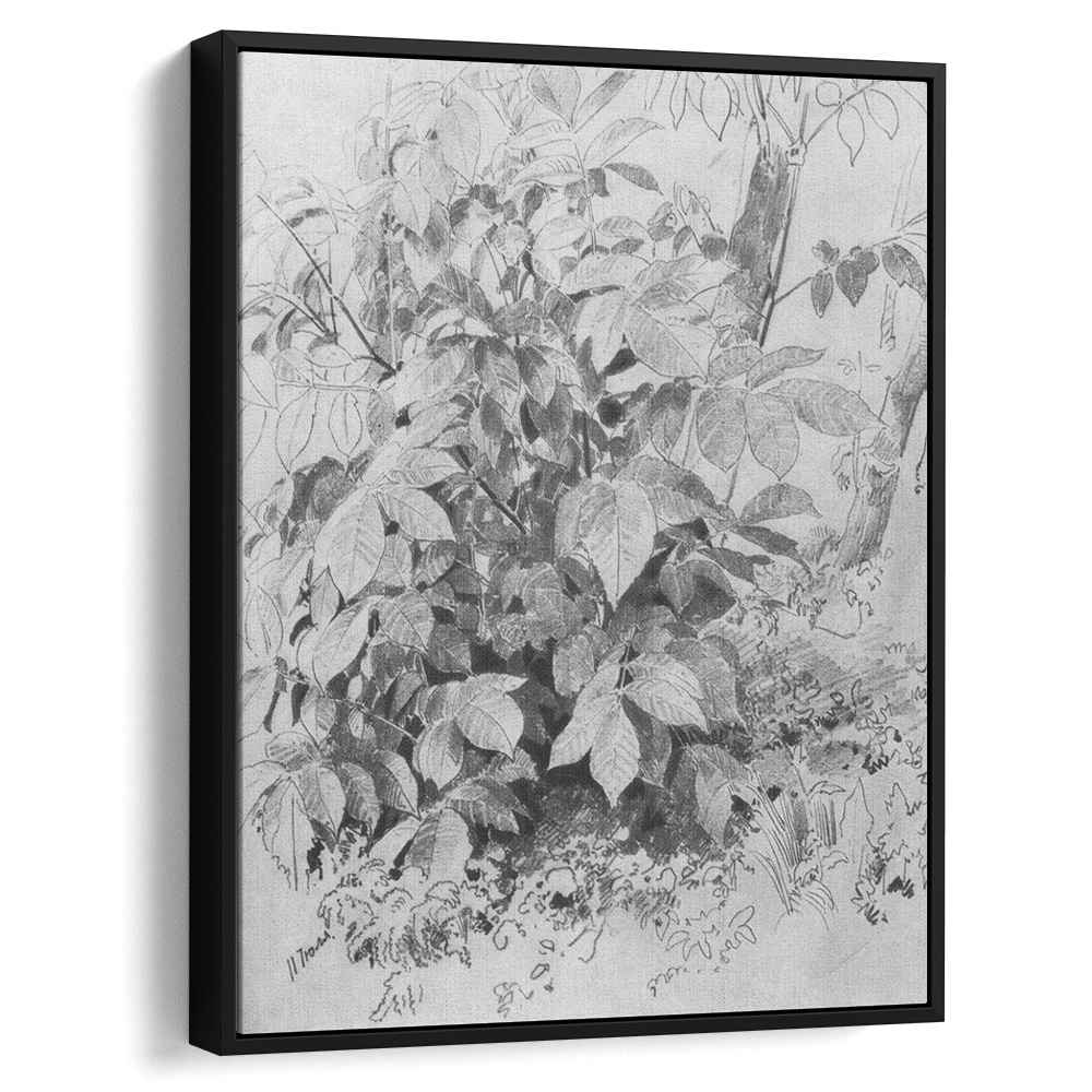 Young crop of nuts by Ivan Shishkin by Ivan Shishkin - Russian Realist canvas print